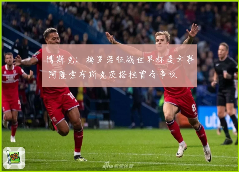 博斯克:梅罗若征战世界杯是幸事 阿隆索布斯克茨搭档曾存争议