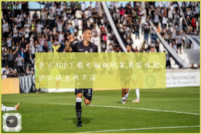 开云app下载电脑版玩家真实体验，办公娱乐两不误