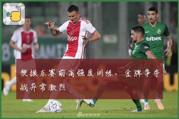 樊振东赛前高强度训练，金牌争夺战异常激烈